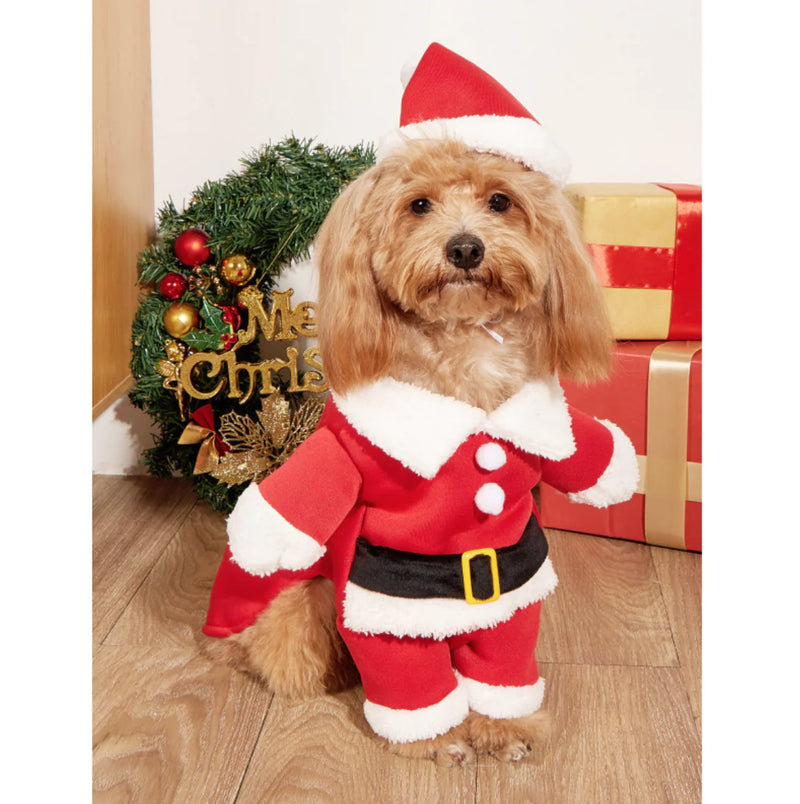 Festive Christmas Pet Costume for Small Dogs