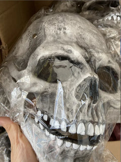 Full Head Skull Skeleton Mask Halloween Costume