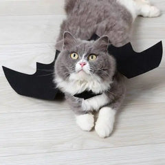 Halloween Bat Wings Pet Costume