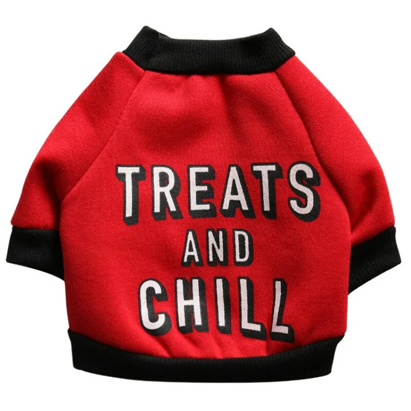 Small Dog Treats and Chill Halloween Outfit