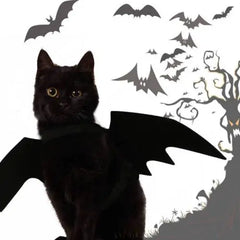 Halloween Bat Wings Pet Costume