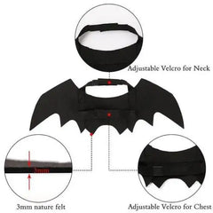 Halloween Bat Wings Pet Costume